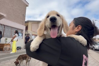 Chipeo 1.jpg